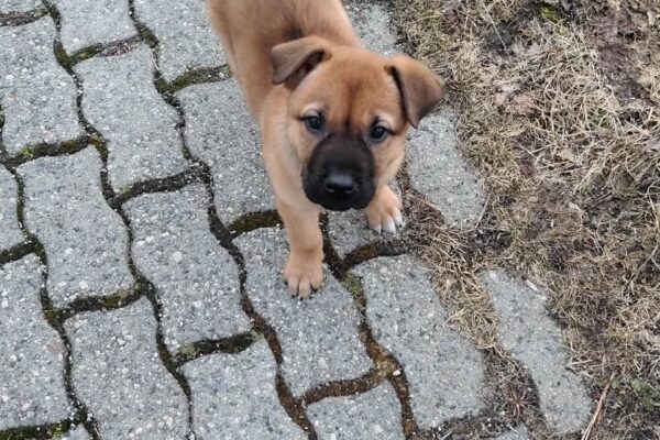 att.-Eru94OKjCjMNfBOFm3IQt_8i7bbH1RCQNxgYOPjlf0