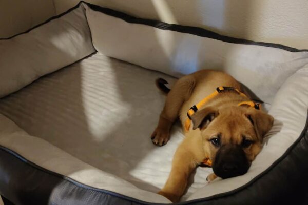 att.3sAlR7UxhvpqyV69dh2YemvIw7pYnHO5wuzT9M8maeI