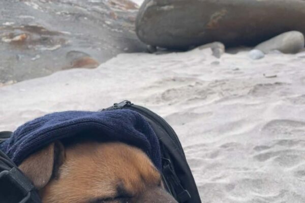 att.GGx7qUFOLwUG36Qn8vCkANSW05ij7w3BvMZK1WV-LGk