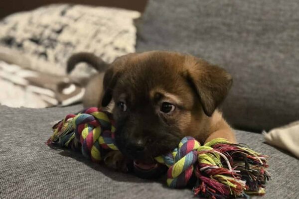 att.HKA3A9iUd2Q4AWO-BW8pjIFKDcxGSbswhSXoiG_ZzxI