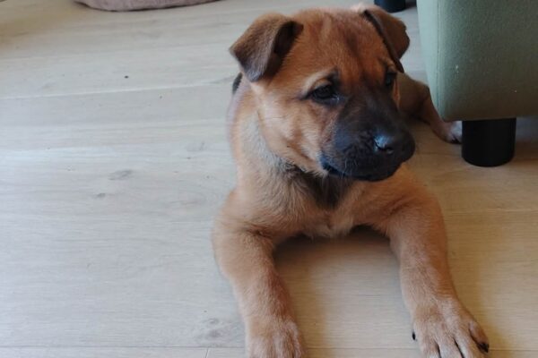 att.Q4Lc1pGYDaxOZIhxns3CSPOSPR9zpmBVybhsMAPkx9s