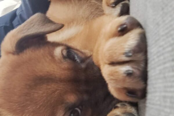 att.V-O5HREVSHtfjdbDvwHQVdD37ORHb7K-CCwLt4NH7NA