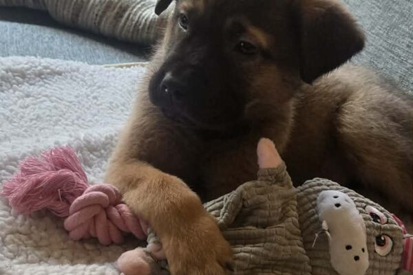 att.izvIIgXl4qS8iGorO76x9C-t984iJkZbuJFRk5d7TIE