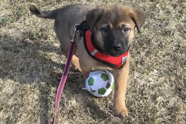 att.l84Rn35c5CtemUA8M03kS4oiYzFhRY9jpazXpUvF84M