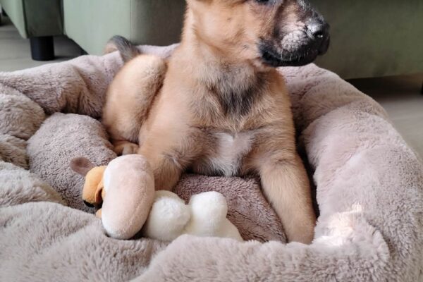 att.xG9Iw4PQC2B4ZIkxCc3rjctdyTRo5D3g3HcoPe3gcac