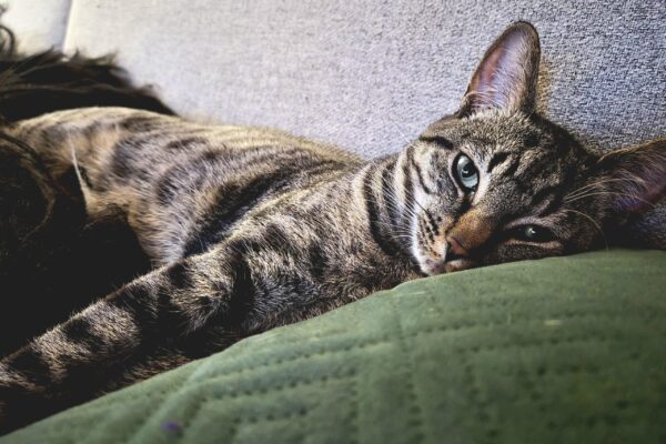 IMG_7025 IMG_7025